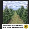 Image 1 : Christmas Tree Farming with Bob & Nathan Wendt