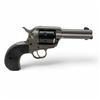 Image 1 : Ruger Wrangler Birdshead Revolver 22LR 3.75" Barrel Silver, Prohibited