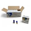 Image 1 : Rio Star Team Evo Training 12 Ga #7 1/2 Ammunition, 250 Round Case