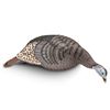 Image 1 : Hunter Specialties Strut Lite Feeding Jake Decoy, New