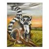 Image 1 : Ring Tailed Lemur by Katon Original