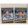 Image 1 : Lot of 2 OPC Platinum Records Hockey Cards - Fuhr & Messier