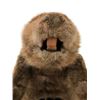 Image 7 : Life Size SFX Beaver Water Version Puppet Movie Props