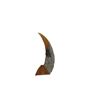 Image 4 : The Cave Monster Claw Movie Props