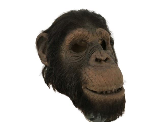 Ed Monkey Ed Chimpanzee Animatronic Head Movie Props