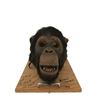 Image 3 : Ed Chimpanzee Animatronic Head Movie Props