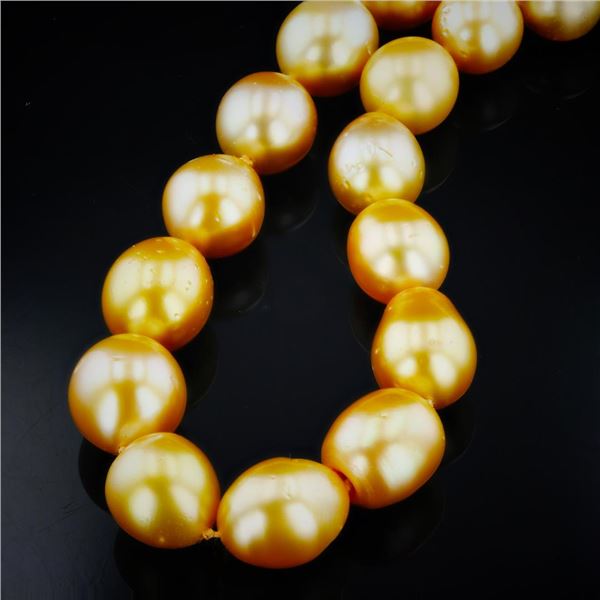 10MM to 13MM GOLDEN South Sea Cultured Pearl Necklace with 14K Yellow Gold Clasp