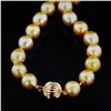 Image 2 : 10MM to 13MM GOLDEN South Sea Cultured Pearl Necklace with 14K Yellow Gold Clasp