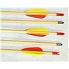 Image 2 : Arrow Lot - Wood Shaft x 10 pc - NEW  - 295 inch Practise Arrows