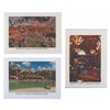Three Animal Kingdom Lodge Greeting Cards.