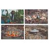 Image 1 : A Collection of Four Early Disneyland Postcards.