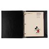 Image 2 : A Pair of Walt Disney Company Telephone Directories.