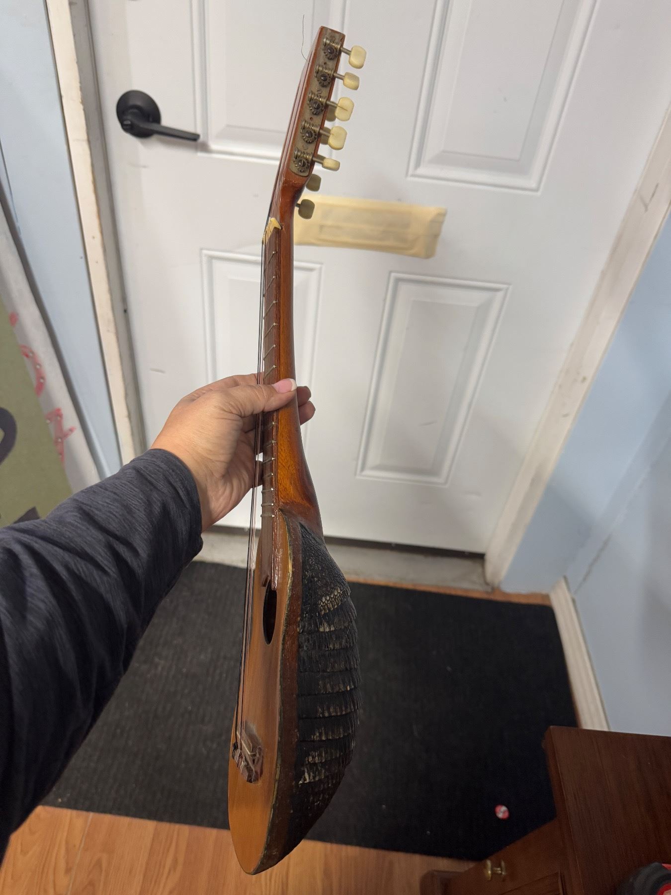 Armadillo, musical instrument