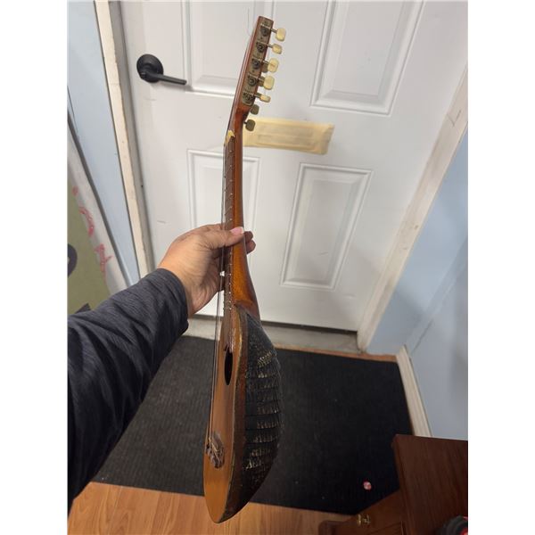 Armadillo, musical instrument