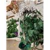 Image 2 : greenery, and wreath