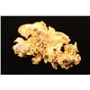 Image 4 : Natural Gold Nugget.