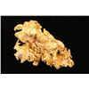 Image 5 : Natural Gold Nugget.