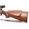 Image 3 : Winchester 70 .243 Win SN: 781518