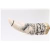 Image 10 : Scrimshawed Teeth.