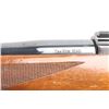 Image 5 : Ruger M77 7mm Mag SN: 70-84241