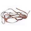 Full Show Bridle and Matching Breast-Strap.