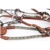 Image 4 : Full Show Bridle and Matching Breast-Strap.