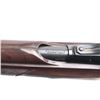 Image 5 : Remington Nylon 66 .22 LR NVSN