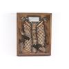 Image 1 : Indian Breastplate.