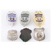 Lot of 6 Badges