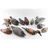 Collection of 12 Duck Decoys.