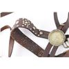 Image 3 : Antique Spotted Cowboy Bridle.