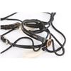 Image 2 : Horsehair Bridle With Crockett Bit.