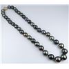 Image 2 : Luxurious Fine Quality Large Tahitian Black