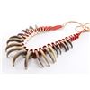 Image 2 : Grizzly Bear Claw Necklace.