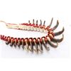 Image 3 : Grizzly Bear Claw Necklace.