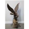 Image 1 : Large Wood Carved Eagle.