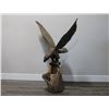 Image 2 : Large Wood Carved Eagle.
