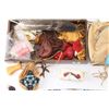 Image 2 : Native American Medicine Lot