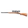 Image 2 : Marlin Glenfield Model 60 .22 LR