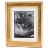 Image 1 : Original Pastel by Leslie Harrison.