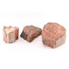 Image 1 : Lot of 3 Pieces of Rainbow Petrified Wood.