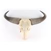 Cape Buffalo Skull
