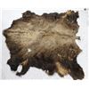 Image 1 : Lot of Buffalo Hide and Piece of Leather.