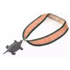 Image 2 : Native American Turtle on Ribbon.