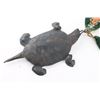 Image 3 : Native American Turtle on Ribbon.