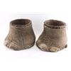 Image 2 : Elephant foot baskets