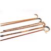 Image 2 : Cane Collection w/ Holder