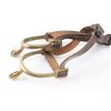 Image 3 : 2 Pairs of Spurs