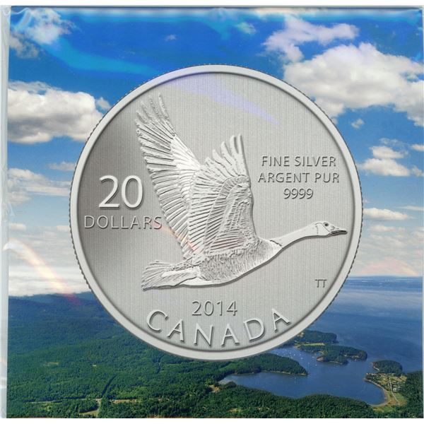 2014 $20 fine silver coin