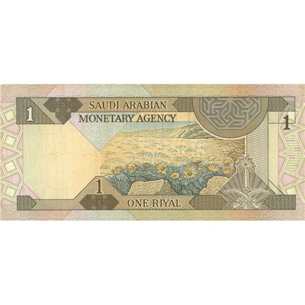 saudi arabian one bill